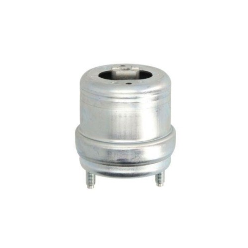 REINHOCH Lagerung, Motor RH11-0054