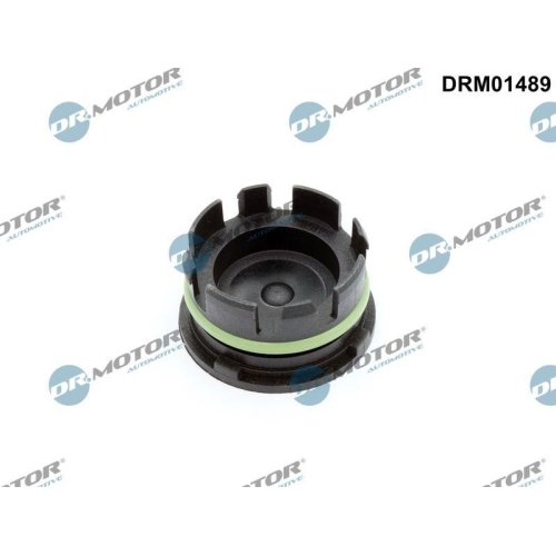 Dr.Motor Automotive Verschlussschraube, Kurbelgeh&auml;use DRM01489