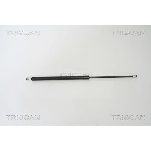 TRISCAN Gasfeder, Koffer-/Laderaum 8710 50241