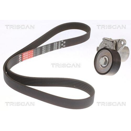 TRISCAN Keilrippenriemensatz 8642 29045