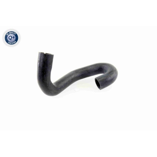 VAICO K&uuml;hlerschlauch Q+, Erstausr&uuml;sterqualit&auml;t V40-1765