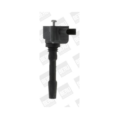 BorgWarner (BERU) Z&uuml;ndspule ZSE163