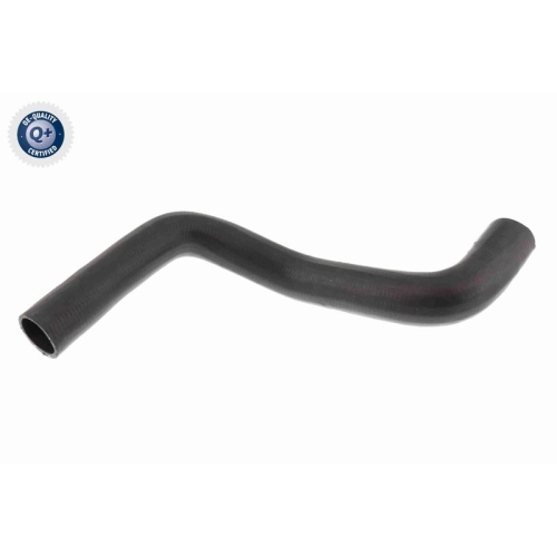 VAICO K&uuml;hlerschlauch Q+, Erstausr&uuml;sterqualit&auml;t V46-1622