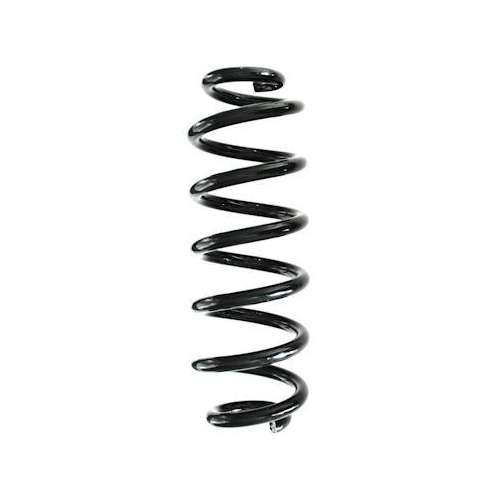 SPIDAN Fahrwerksfeder GKNW10060