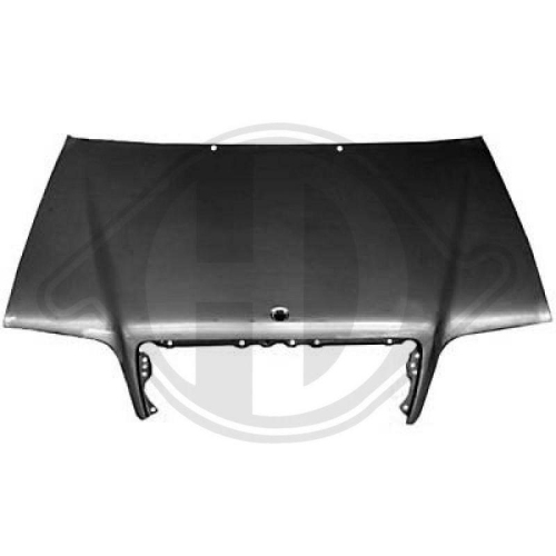 DIEDERICHS Motorhaube 1670000