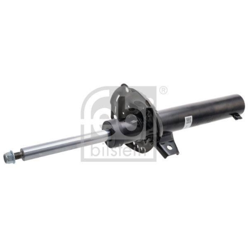 FEBI BILSTEIN Sto&szlig;d&auml;mpfer 1002329