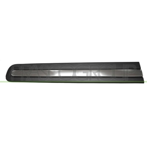 PRASCO Zier-/Schutzleiste, T&uuml;r FT0401413