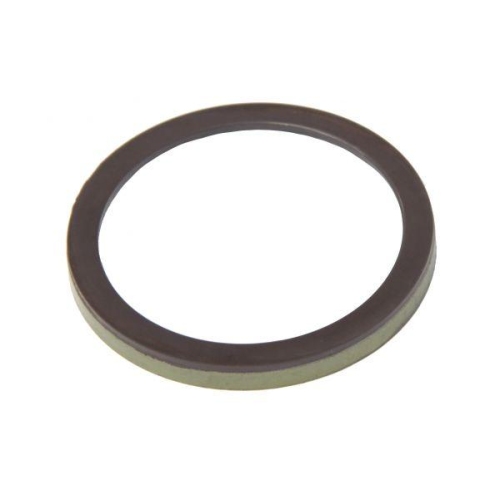 MAPCO Sensorring, ABS 76141