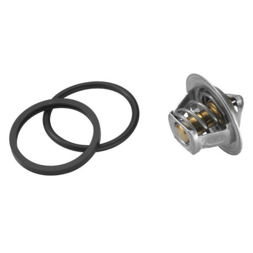 BorgWarner (Wahler) Thermostat, Kühlmittel 3017.87D50