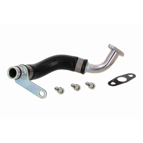 VAICO Ölleitung, Lader Green Mobility Parts