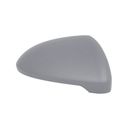 BLIC Gehäuse, Außenspiegel 6103-01-2002606P