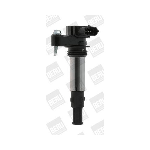 BorgWarner (BERU) Z&uuml;ndspule ZSE174