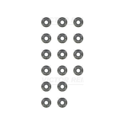 VICTOR REINZ Dichtungssatz, Ventilschaft