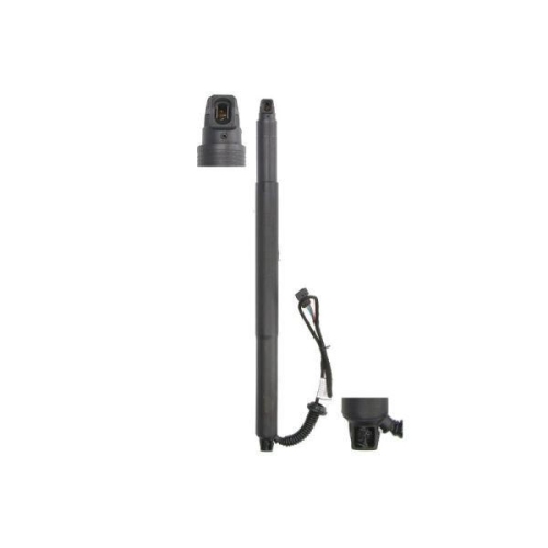 Magnum Technology Gasfeder, Einlegeboden (Koffer-/Laderaum) MGS3128MT