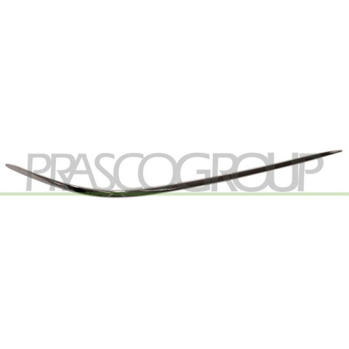 PRASCO Zier-/Schutzleiste, Sto&szlig;f&auml;nger ME5241247