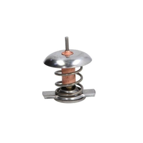 THERMOTEC Thermostat, K&uuml;hlmittel D2X005TT