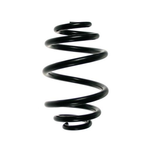 SPIDAN Fahrwerksfeder 55328