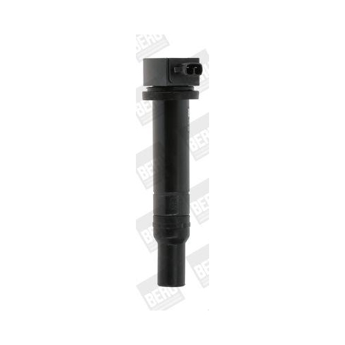 BorgWarner (BERU) Z&uuml;ndspule ZS481