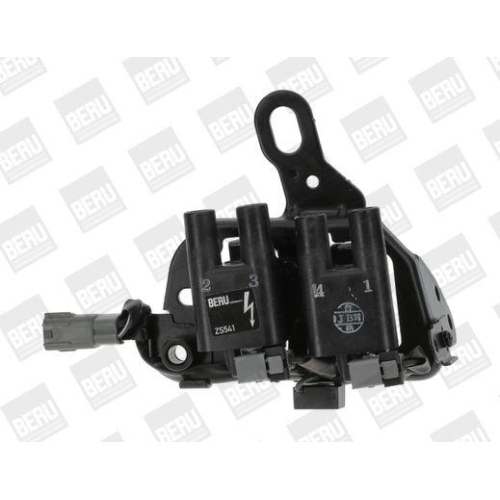 BorgWarner (BERU) Z&uuml;ndspule