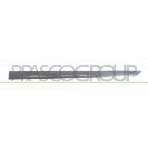 PRASCO Zier-/Schutzleiste, T&uuml;r OP4101424