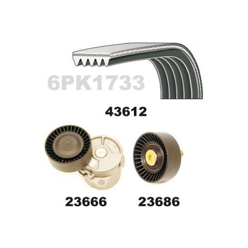 MAPCO Keilrippenriemensatz 23613