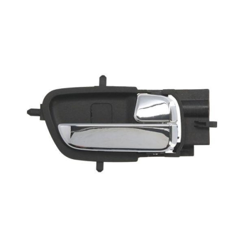 BLIC T&uuml;rgriff, Innenausstattung 6010-20-045408P