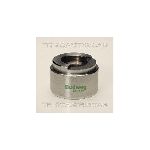 TRISCAN Kolben, Bremssattel 8170 234201