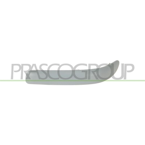 PRASCO Zier-/Schutzleiste, Sto&szlig;f&auml;nger Premium TY3241264