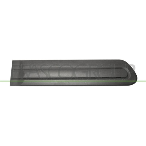 PRASCO Zier-/Schutzleiste, T&uuml;r FT0401453