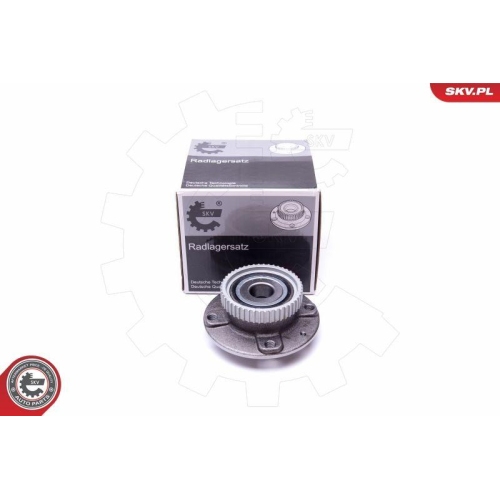 ESEN SKV Radlagersatz