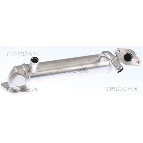 TRISCAN K&uuml;hler, Abgasr&uuml;ckf&uuml;hrung 8813 29343