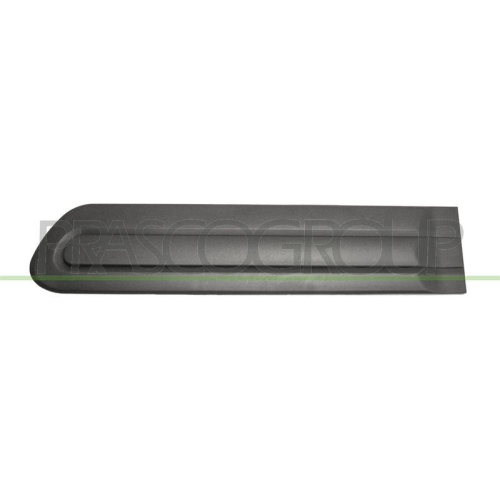 PRASCO Zier-/Schutzleiste, T&uuml;r FT0401454
