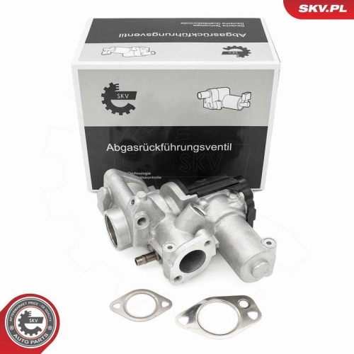 ESEN SKV AGR-Ventil 14SKV253