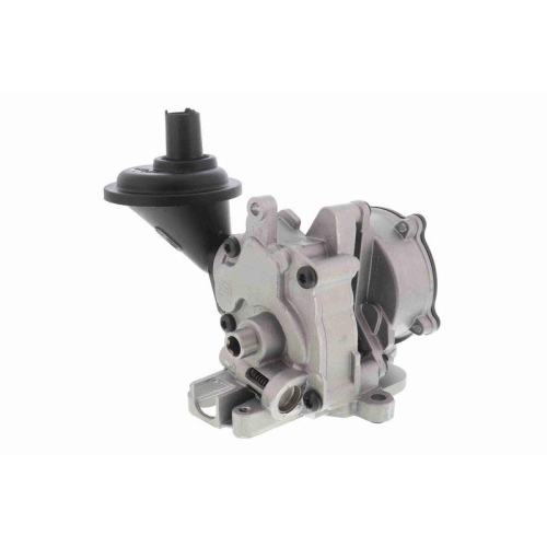 VAICO &Ouml;lpumpe Original VAICO Qualit&auml;t V10-8003