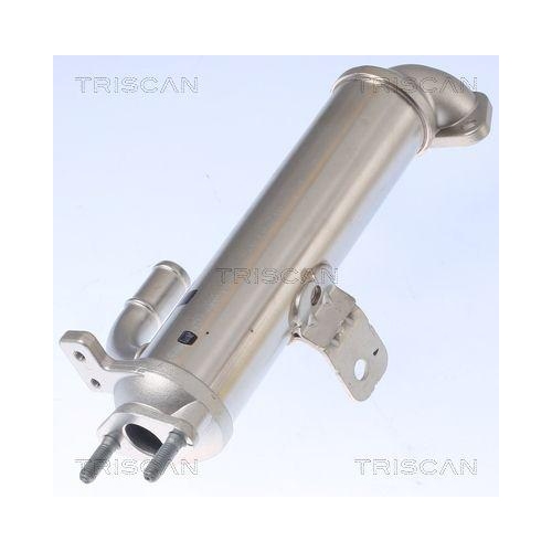 TRISCAN K&uuml;hler, Abgasr&uuml;ckf&uuml;hrung 8813 43102