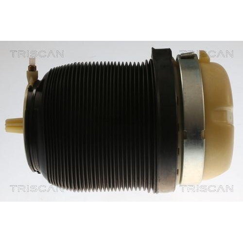 TRISCAN Luftfeder, Fahrwerk 8720 29202