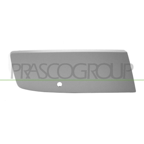 PRASCO Zier-/Schutzleiste, Sto&szlig;f&auml;nger Premium VG9191249