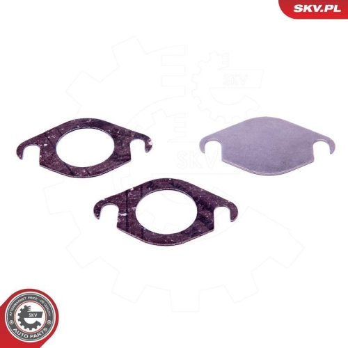 ESEN SKV Reparatursatz, AGR-Ventil 14SKV518