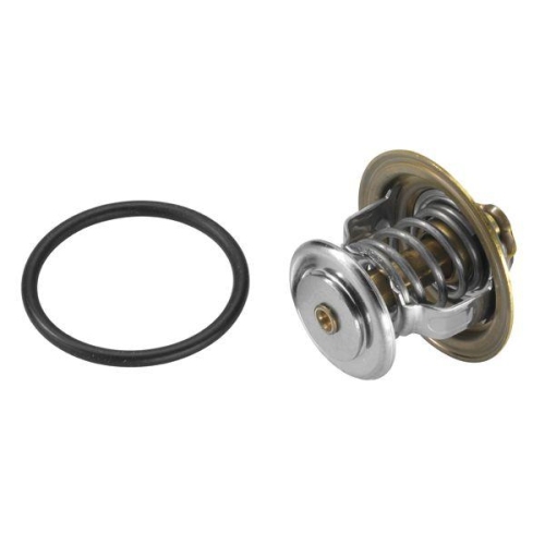 BorgWarner (Wahler) Thermostat, Kühlmittel 4255.82D