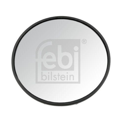 FEBI BILSTEIN Frontspiegel, Fahrerhaus 185873