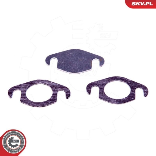ESEN SKV Reparatursatz, AGR-Ventil 14SKV500