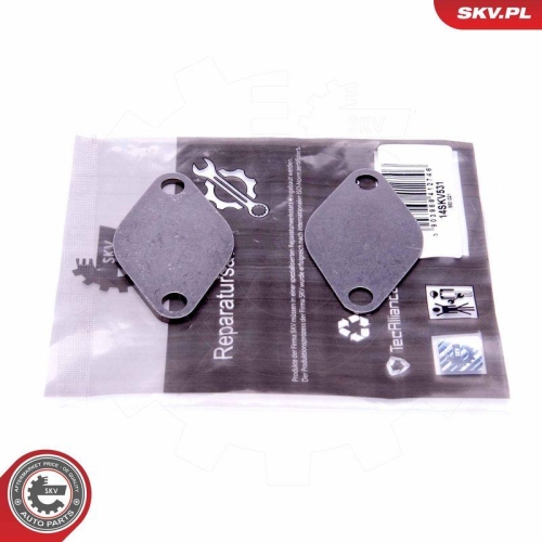 ESEN SKV Reparatursatz, AGR-Ventil 14SKV531