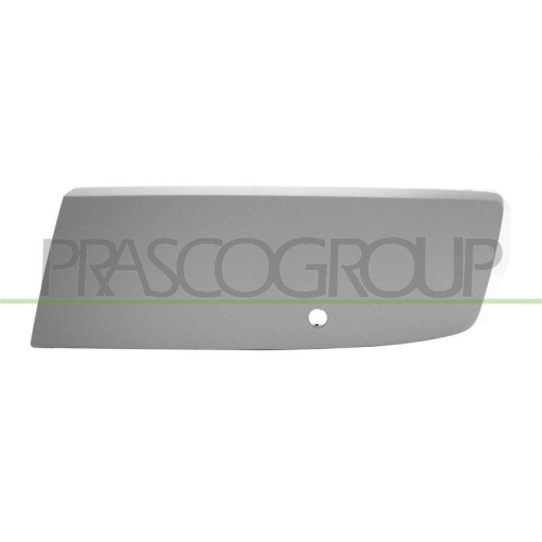PRASCO Zier-/Schutzleiste, Sto&szlig;f&auml;nger Premium VG9191250