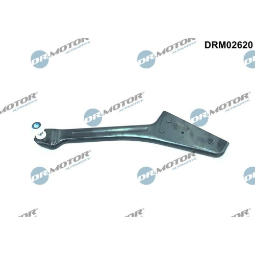 Dr.Motor Automotive Rollenf&uuml;hrung, Schiebet&uuml;r DRM02620