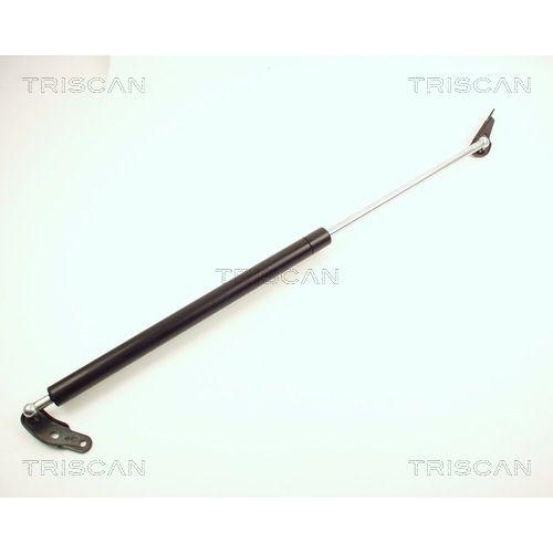 TRISCAN Gasfeder, Koffer-/Laderaum 8710 13231