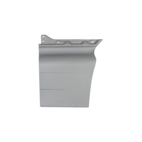 PACOL Einstiegsblech MAN-CP-017L