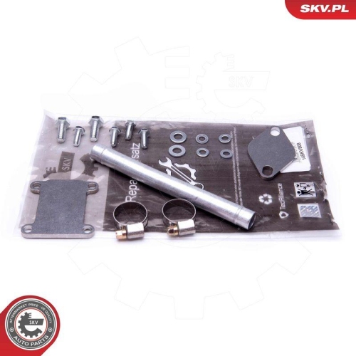 ESEN SKV Reparatursatz, AGR-Ventil 14SKV508
