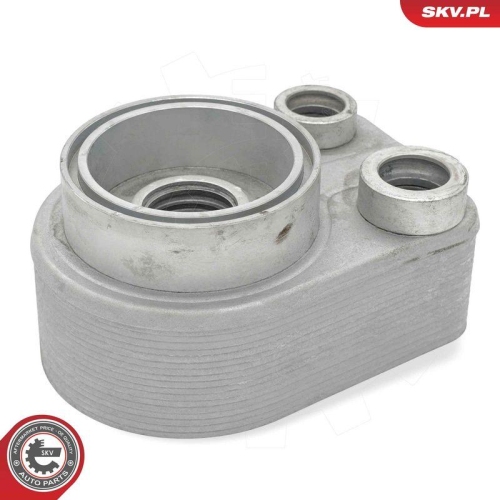 ESEN SKV &Ouml;lk&uuml;hler, Motor&ouml;l 31SKV371