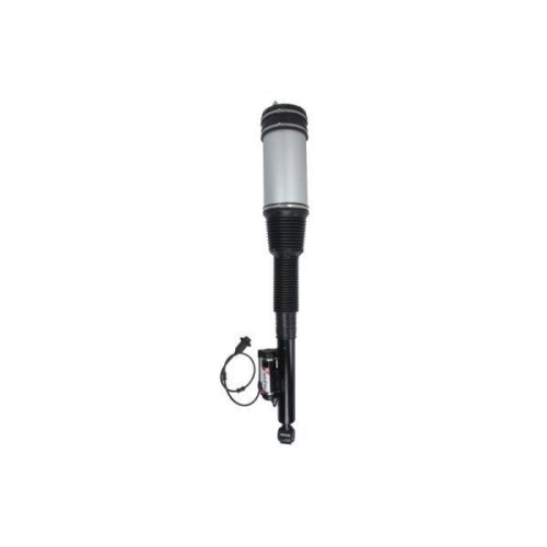Magnum Technology Luftfederbein APM010MT
