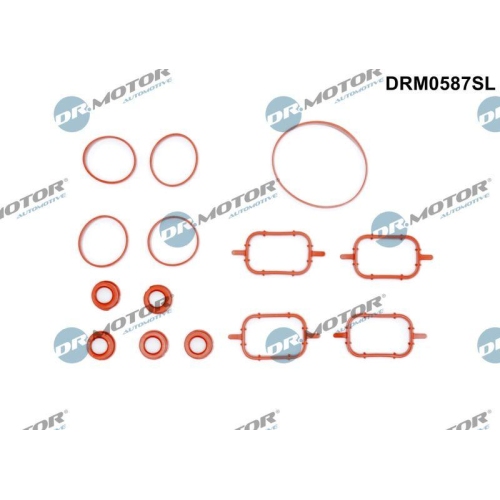 Dr.Motor Automotive Dichtungssatz, Ansaugkr&uuml;mmer DRM0587SL